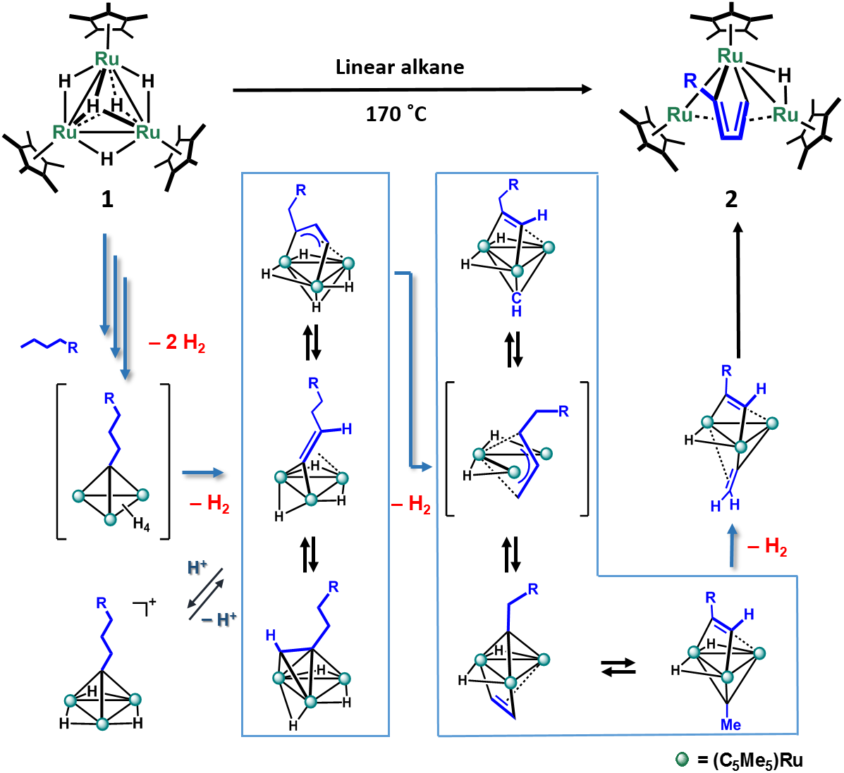 reaction of 1 with linear alkane