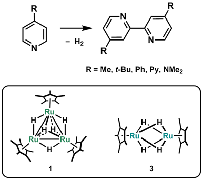 Dehydrogenative coupling of 4-substituted pyridines